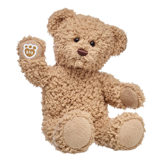 Timeless Teddy Bear "Emotional Support" Gift Set | Build-A-Bear® - US 3684