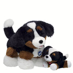 Promise Pets Bernese Mountain Dog Stuffed Animal Mini Beans Gift Set | Build-A-Bear - US 3940
